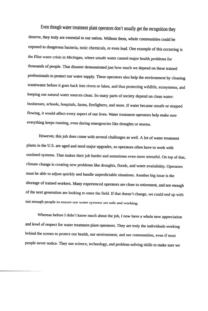 Essay - Pg. 3