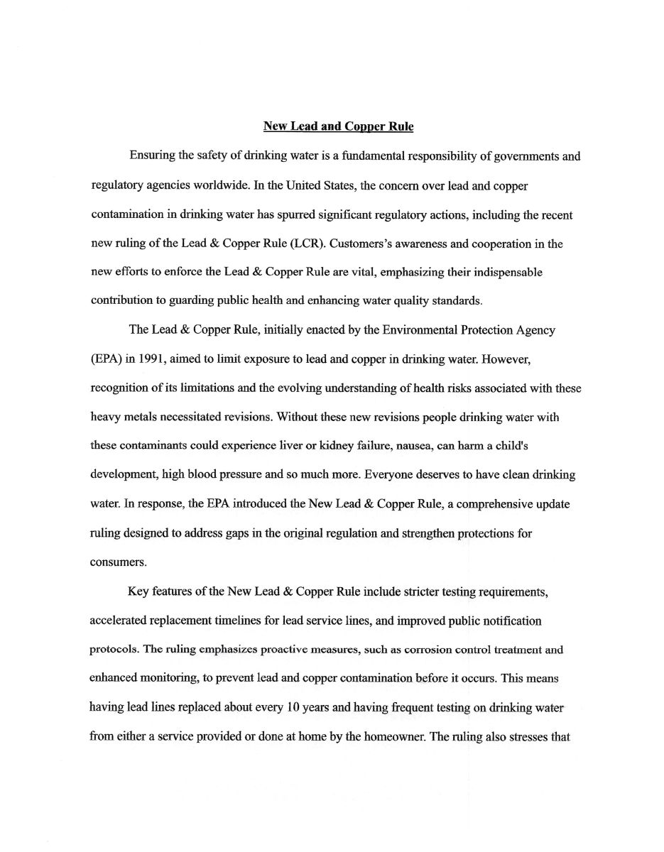 Essay - Pg. 1