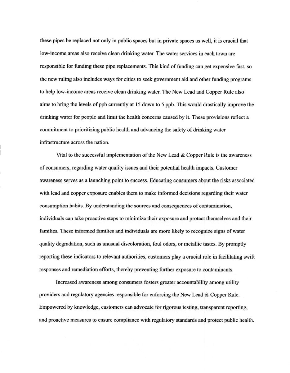 Essay - Pg. 2