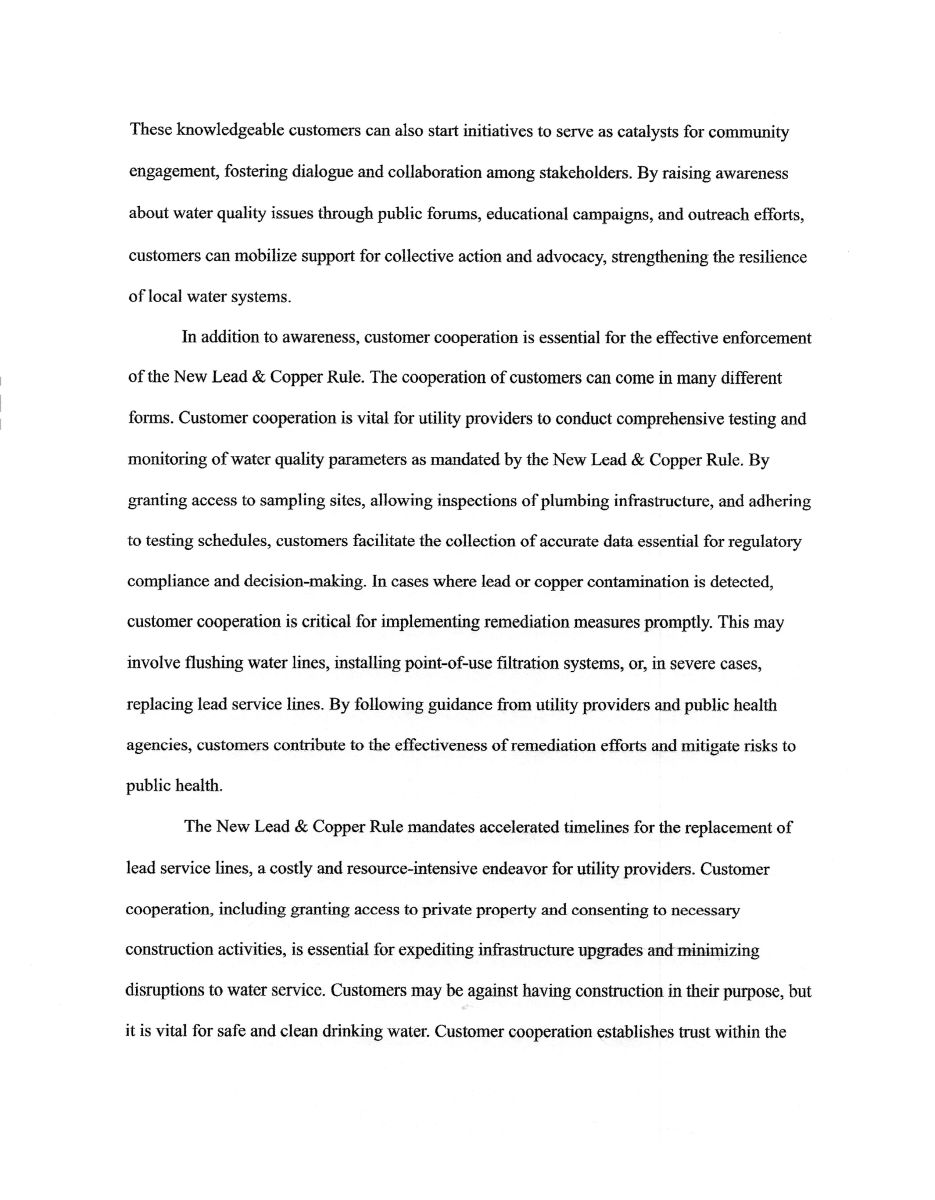 Essay - Pg. 3