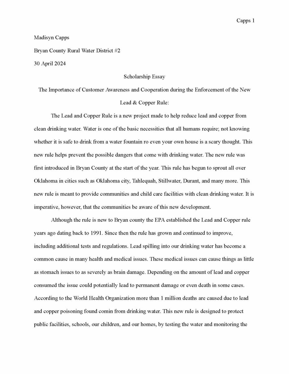 Essay - Pg. 1