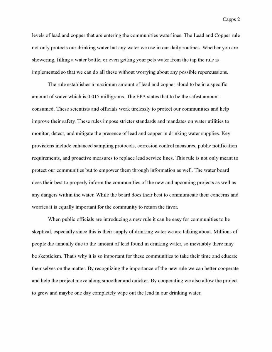 Essay - Pg. 2