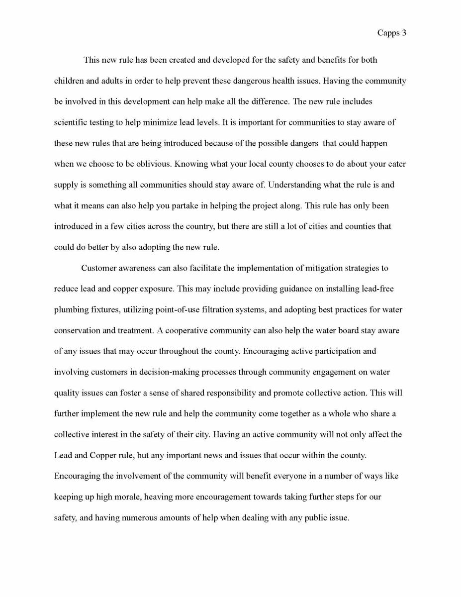 Essay - Pg. 3