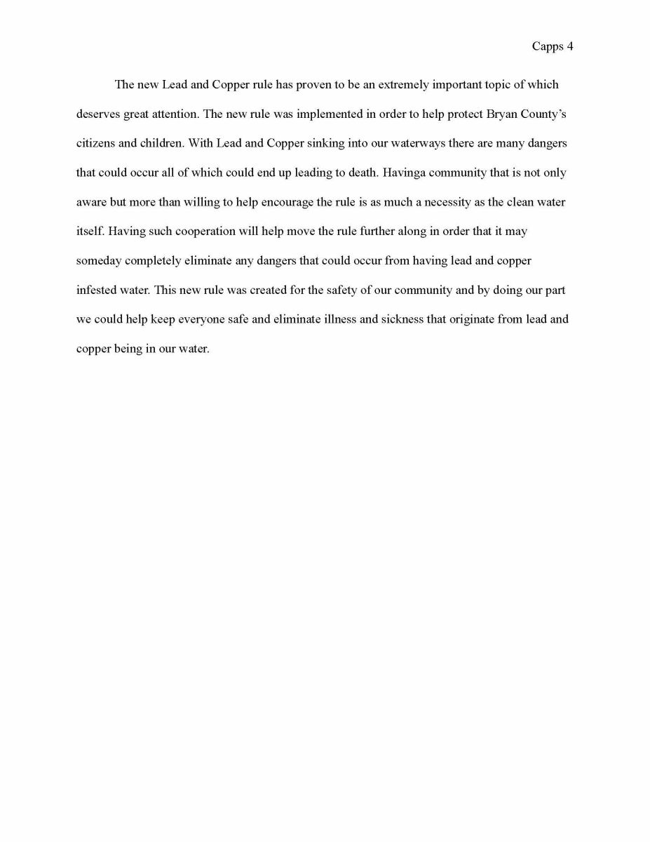 Essay - Pg. 4